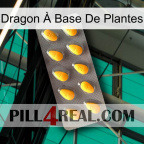 Dragon À Base De Plantes cialis1